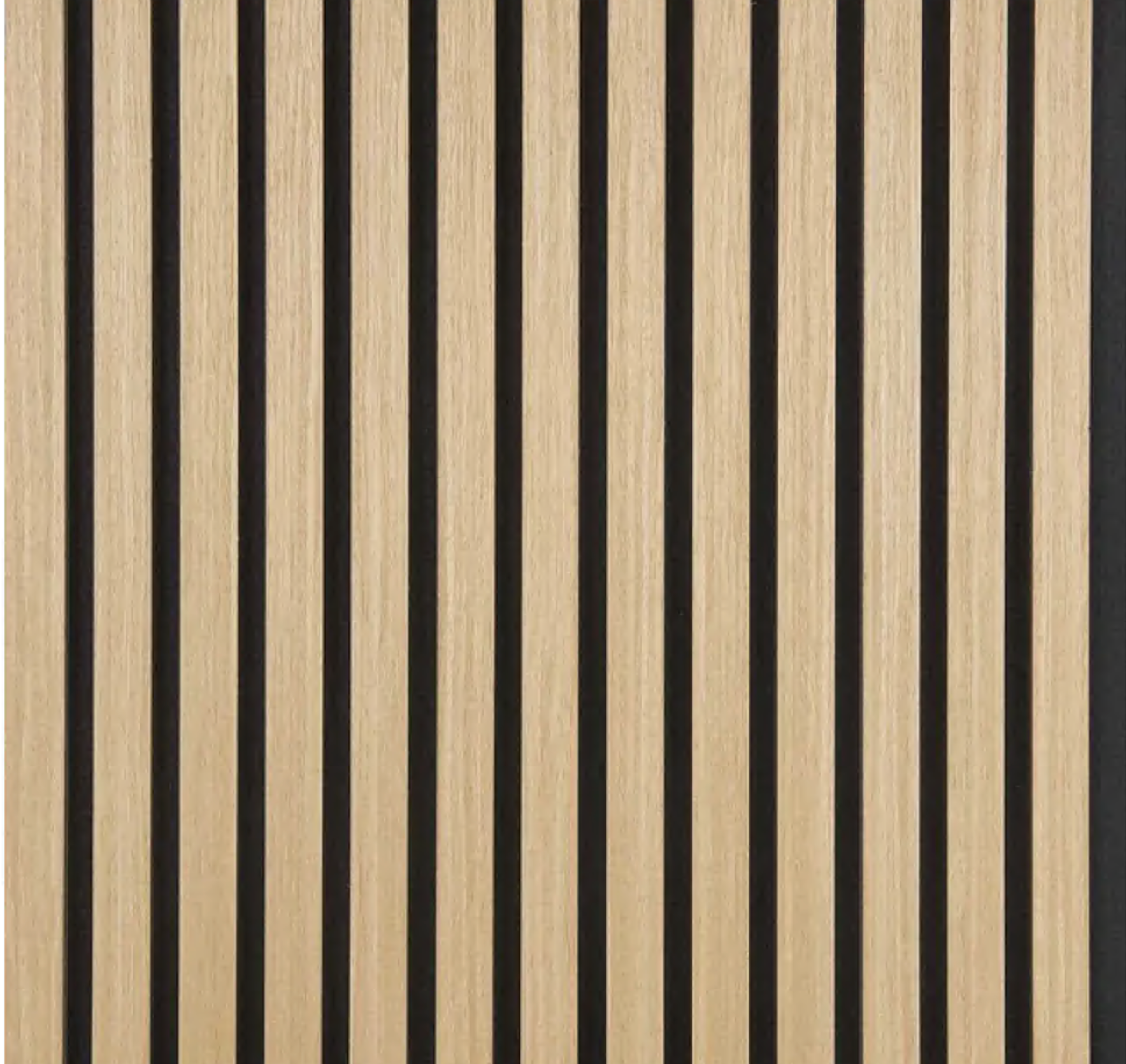 Saeun Elevare Premium